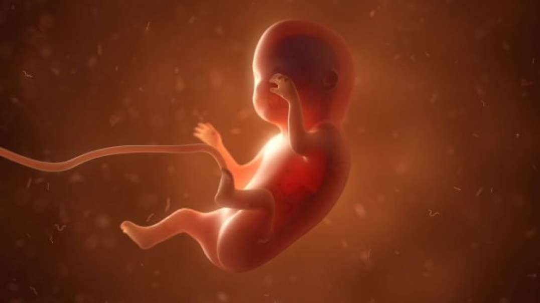 FDA Purchased Aborted Baby Parts To 