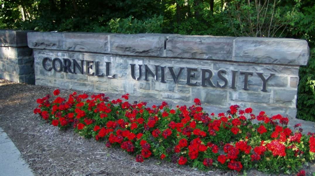Cornell University Achieves New Level Of Wokeness,  Puts Free Menstrual Products In Mens Bathrooms