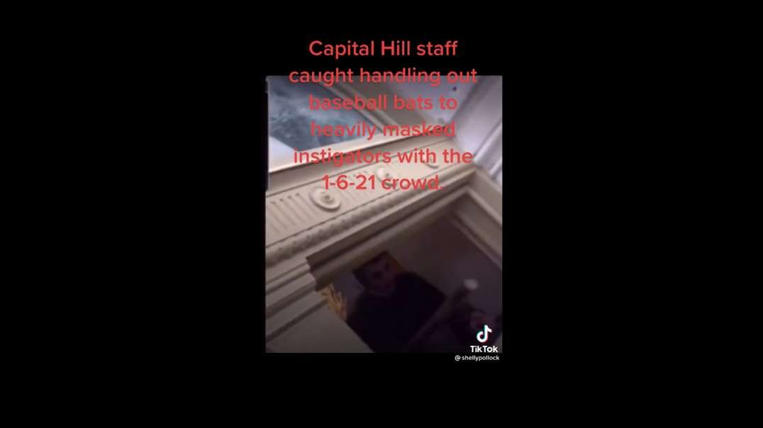 Video Appears To Show Capitol Hill Staff Handing Out Bats To Protestors From Secret Compartment
