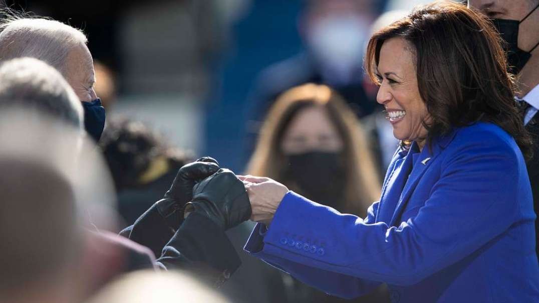 Daughter Of Judge In Trump Indictment Worked For Kamala Harris Campaign And Represented Biden-Harris