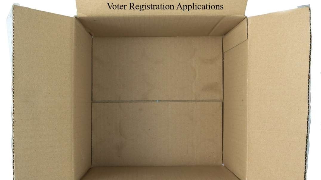 Michigan Clerk Chat Reveals Voter Registrations Came In Labeled As 