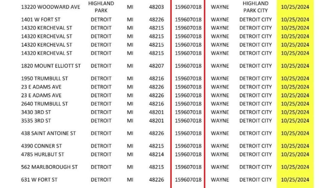 Michigan: Over 125K Excess Ballots Cast With Same Voter ID, Foreigners Bussed In To Vote In PA