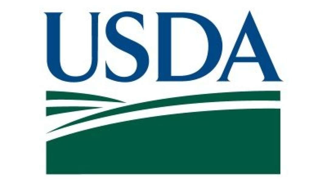 USDA Intentionally Ordering The Killing Of Millions Of Chickens To Sabotage Trump On Inflation